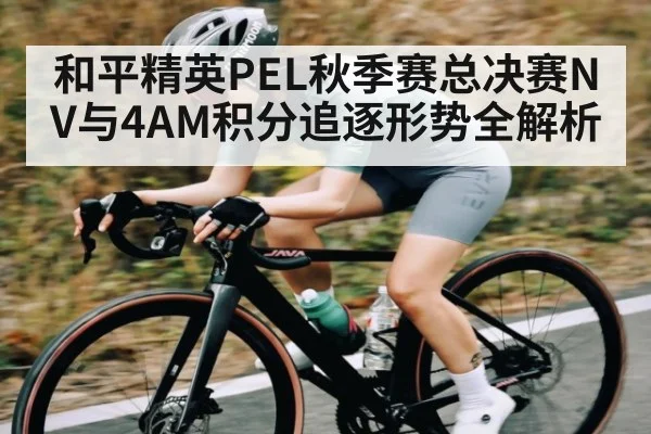 和平精英PEL秋季赛总决赛NV与4AM积分追逐形势全解析